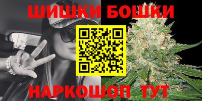 твердый Бийск