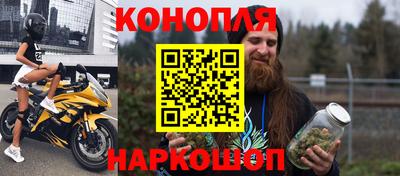 твердый Бийск