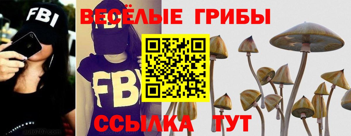 Галлюциногенные грибы Magic Shrooms  Вход с VPN  Кировск  Псилоцибиновые грибы Magic Shrooms 